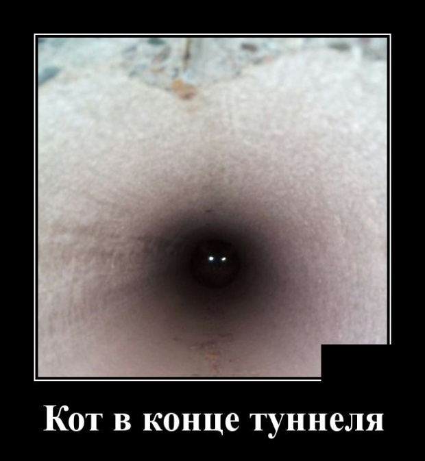 Демотиваторы среды 13.02.2019 Демотиваторы среды 13.02.2019