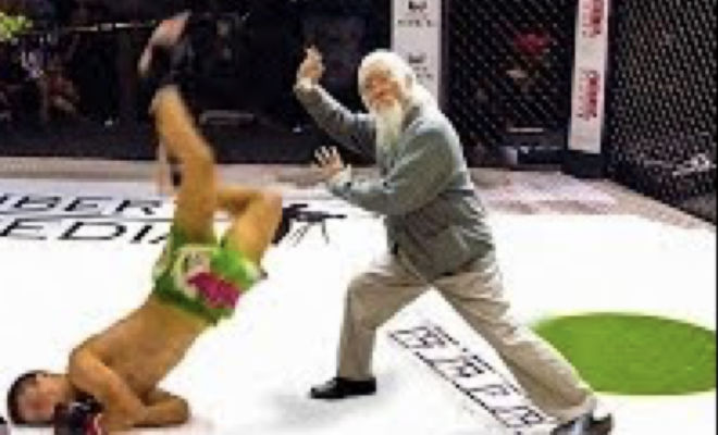 Толстый мастер вин-чун бросил вызов каратисту