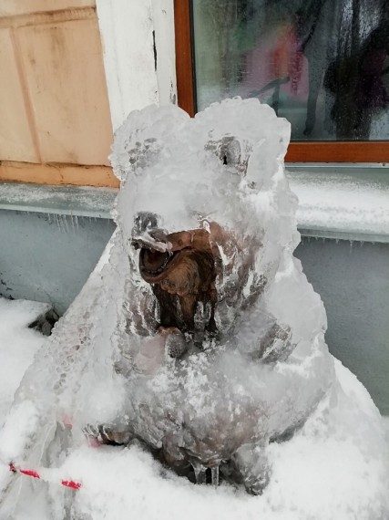 Картинки с позитивом Картинки с позитивом