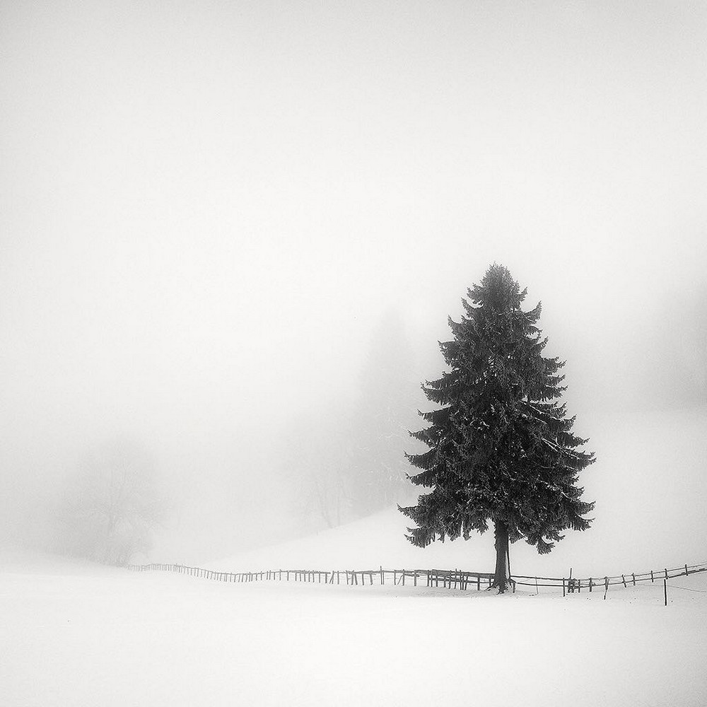 Cherno-belye-peyzazhnye-fotografii-Pera-Pellegrini 2