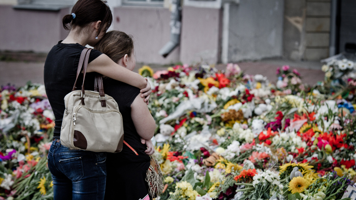 МН17 сбили не русские. Немецкий детектив знает правду, но боится за свою жизнь Украины, катастрофы, может, Боинг, доказательства, Гааге, самолёта, поскольку, авиакомпании, Malaysia, Airlines, человек, рейсом, которую, через, буквально, который, будет, процесс, версию