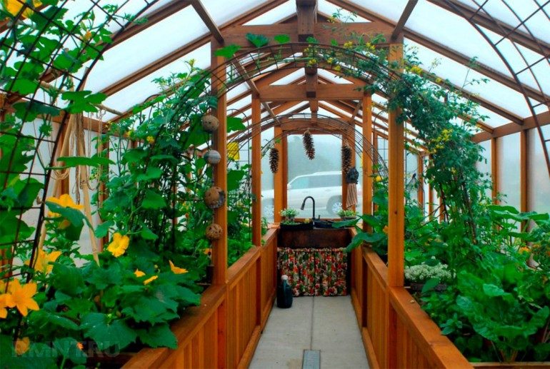 Домашняя оранжерея своими руками для дома и дачи