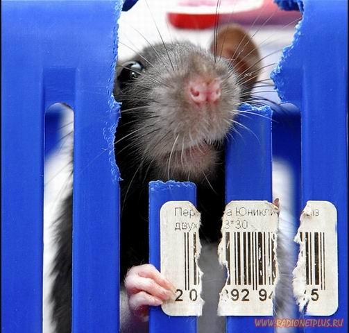 Улыбнёмся? :) (21повод)