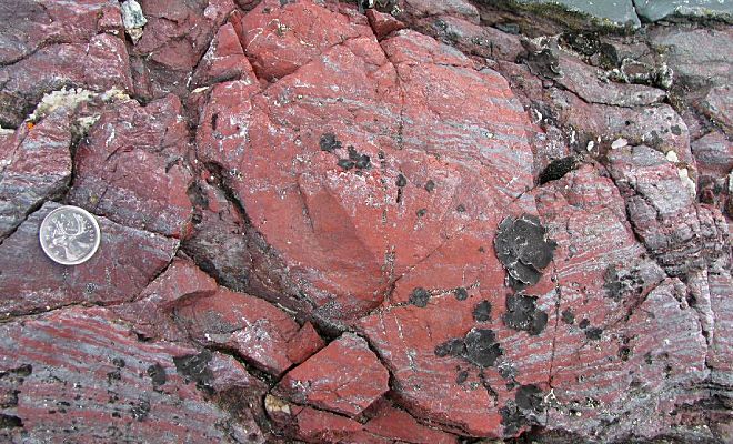 В вечной мерзлоте Канады обнаружили окаменелости, которые заставили усомниться в истории развития жизни на Земле