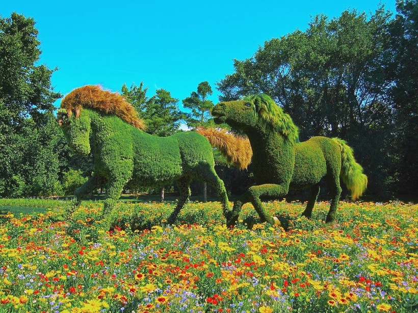 Где находятся 10 лучших ботанических садов мира Где находятся 10 лучших ботанических садов мира мир,поездка,страны