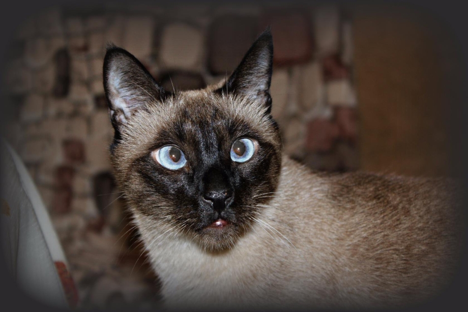 Танцы и текила