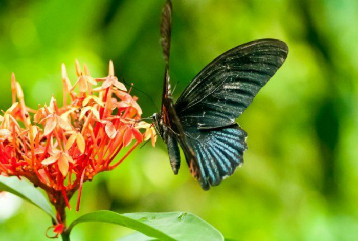 13 практичных советов, которые стоит взять на заметку всем дачникам в начале сезона 225,273,7871,7891,7897