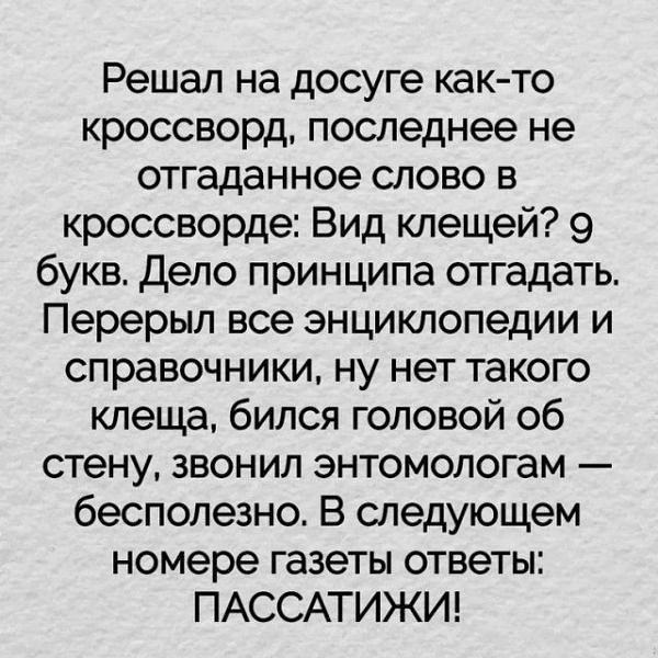 Женское - Вот куплю себе котёнка. Назову его Игорёк... купил, каждый, виноваты, Дорогая, детей, набирает, Немец, бывает, Нужно, Дальше, ущерб, моральный, женой, вертолет, отеля, патрон, давка, Какой, тысяч, франков