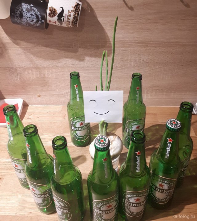 Приколы про лук Приколы про лук