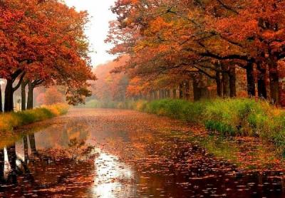 9 октября — Иван Богослов