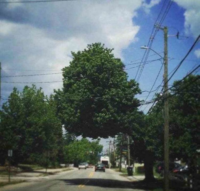 25 забавных снимков, которые пытаются обмануть наше зрение 