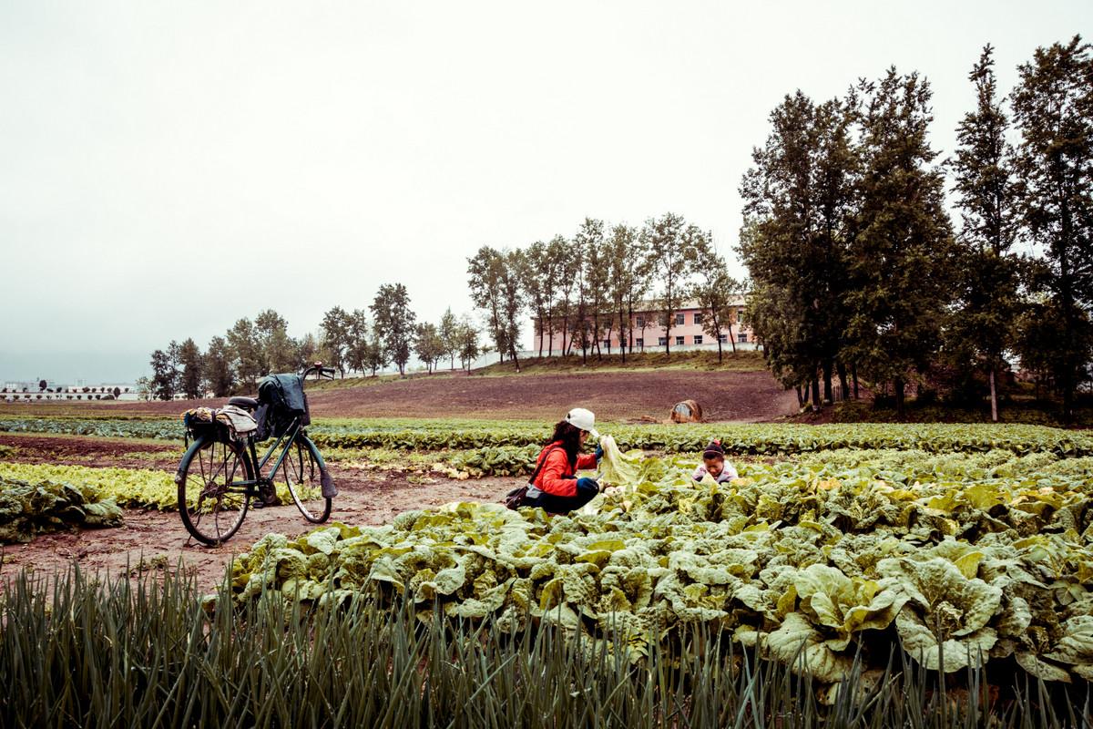 «Чосон» Дениса Давыденко: объективная нереальность из Северной Кореи «Чосон» Дениса Давыденко: объективная нереальность из Северной Кореи