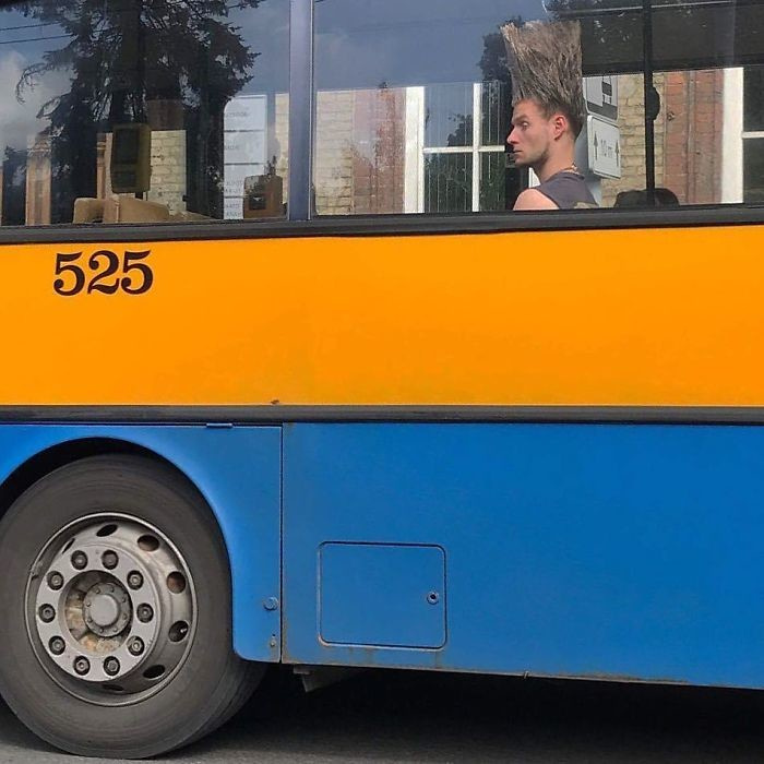 15 самых странных фото, когда-либо сделанных в троллейбусе 