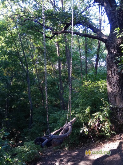 Экотуризм по-русски Экотуризм по-русски туризм,экология