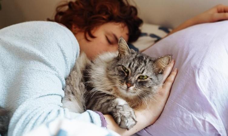 Почему мы не помним свои сны и когда это может быть опасно