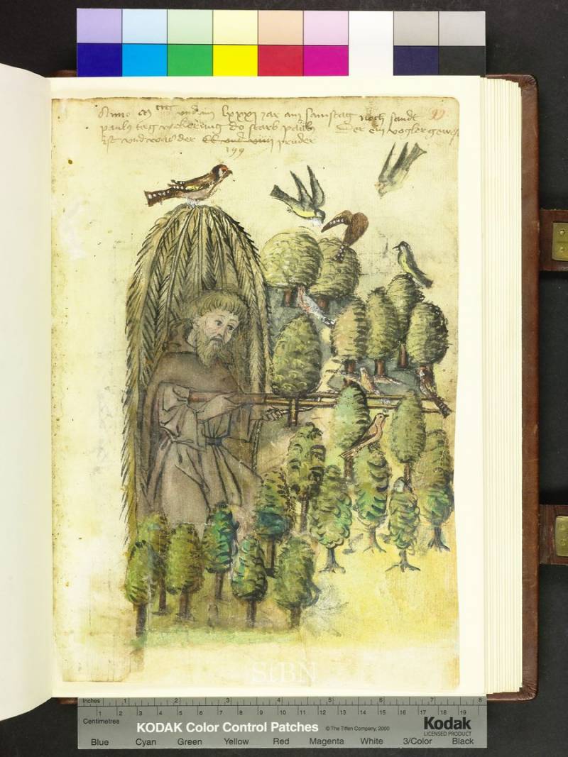 Мясное Средневековье: мясники-забойщики, торговцы мясом, птицеловы и рыбаки история