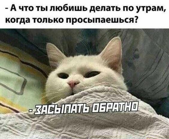 Шутки для отличного настроения 