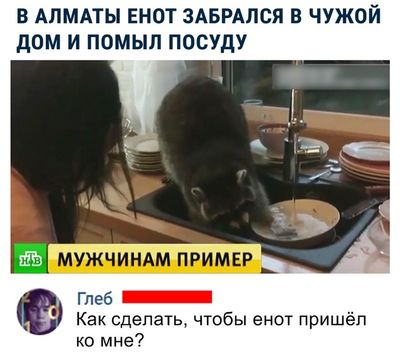 Подборка забавных и смешных фотографий с надписями из сети Подборка забавных и смешных фотографий с надписями из сети смешные картинки с надписями до слез