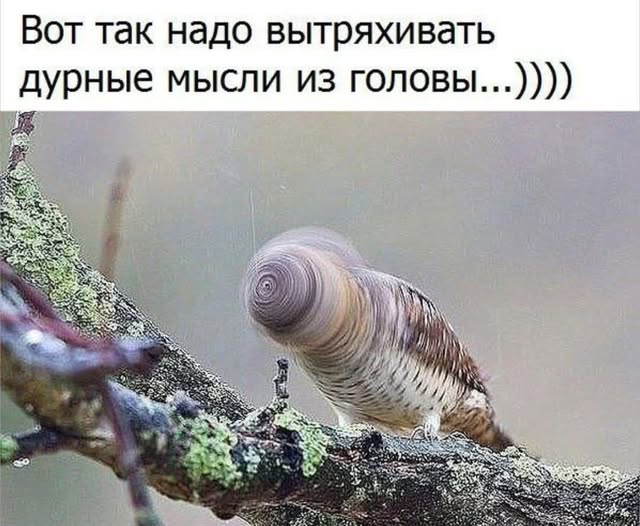 Выпивший организм чувствует, что отравлен и стремится к размножению