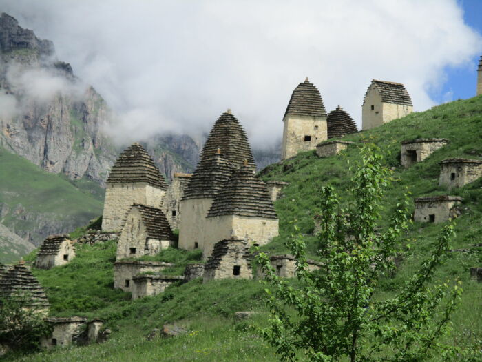  lookmytrips.com.