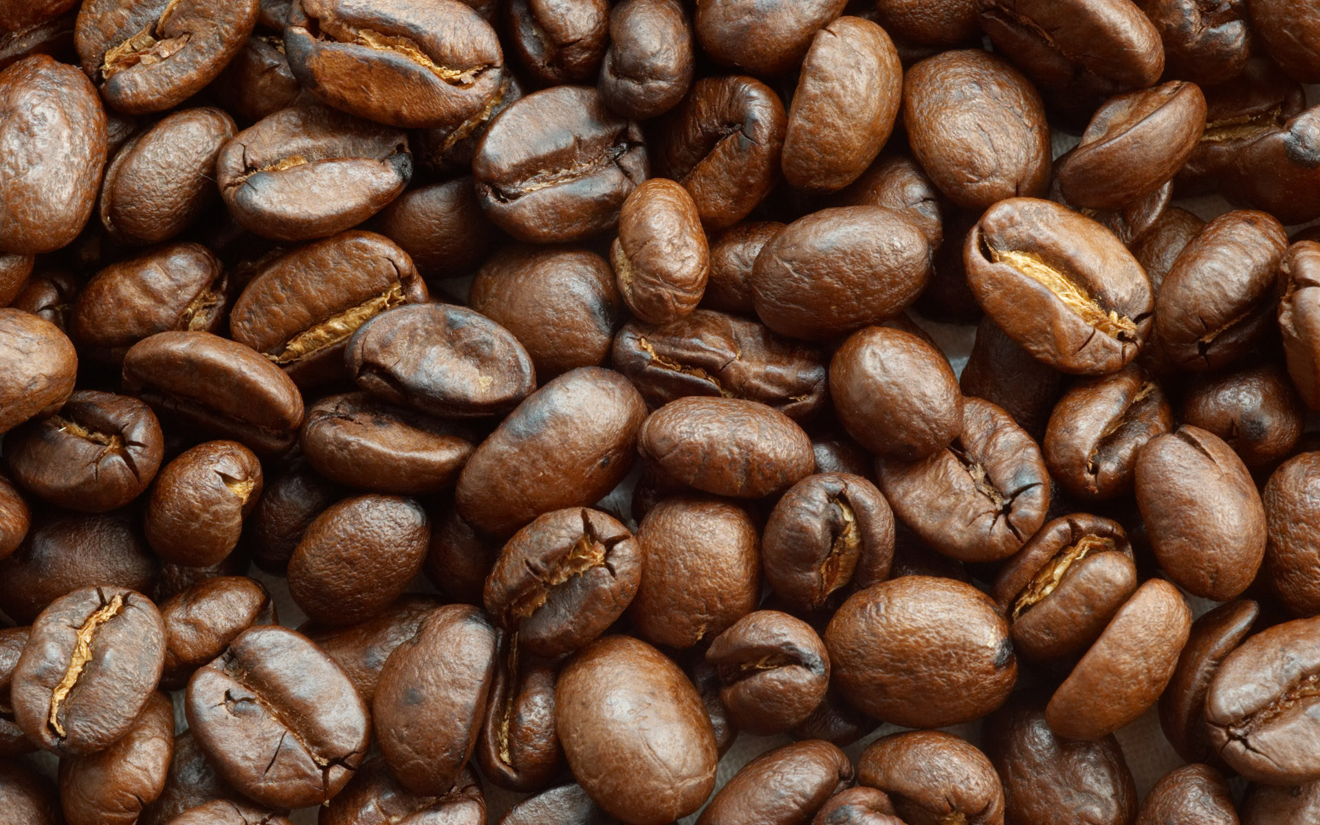  brown roasted coffee beans macro closeup
