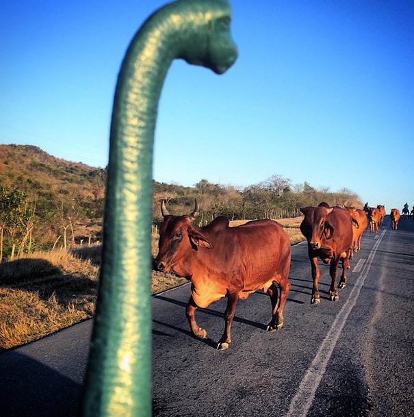 фото из путешествия с динозаврами 