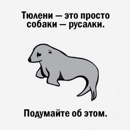 Классные фотоприколы! Классные фотоприколы! смешные картинки