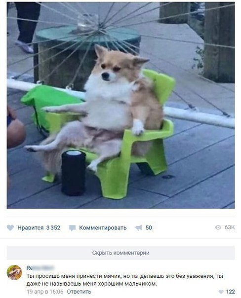 Прикольные комментарии (21 шт)