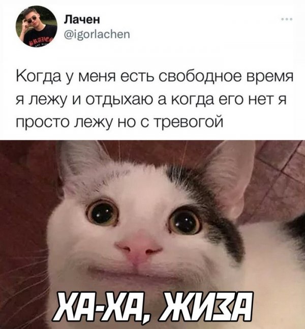 Скрины из соцсетей