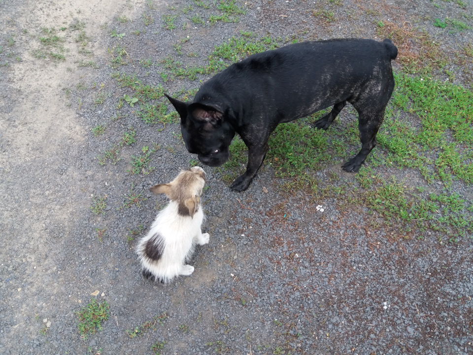 Подкидыш Подкидыш не всё так грустно