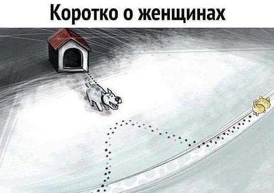 Отменные шуточки Отменные шуточки