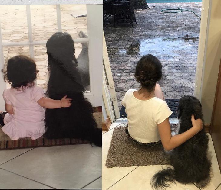 19 восхитительных фото детишек и песиков, которые созданы друг для друга 19 восхитительных фото детишек и песиков, которые созданы друг для друга