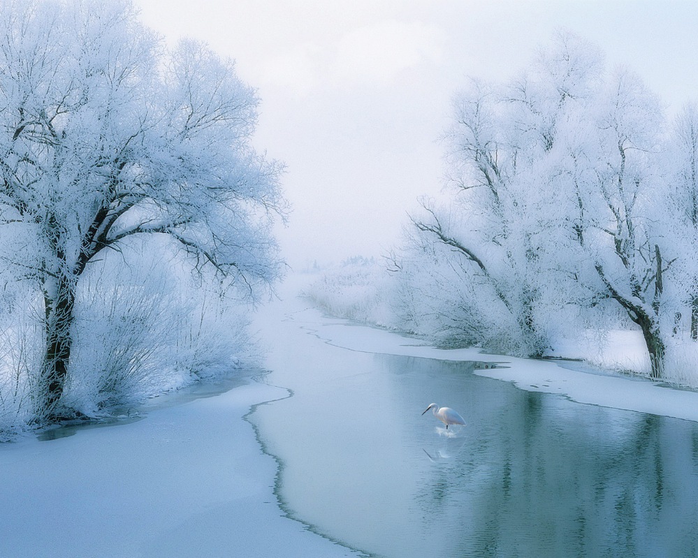 Дивный день в кружении снега, зима не хочет уходить... Дивный день в кружении снега, зима не хочет уходить... Фотография