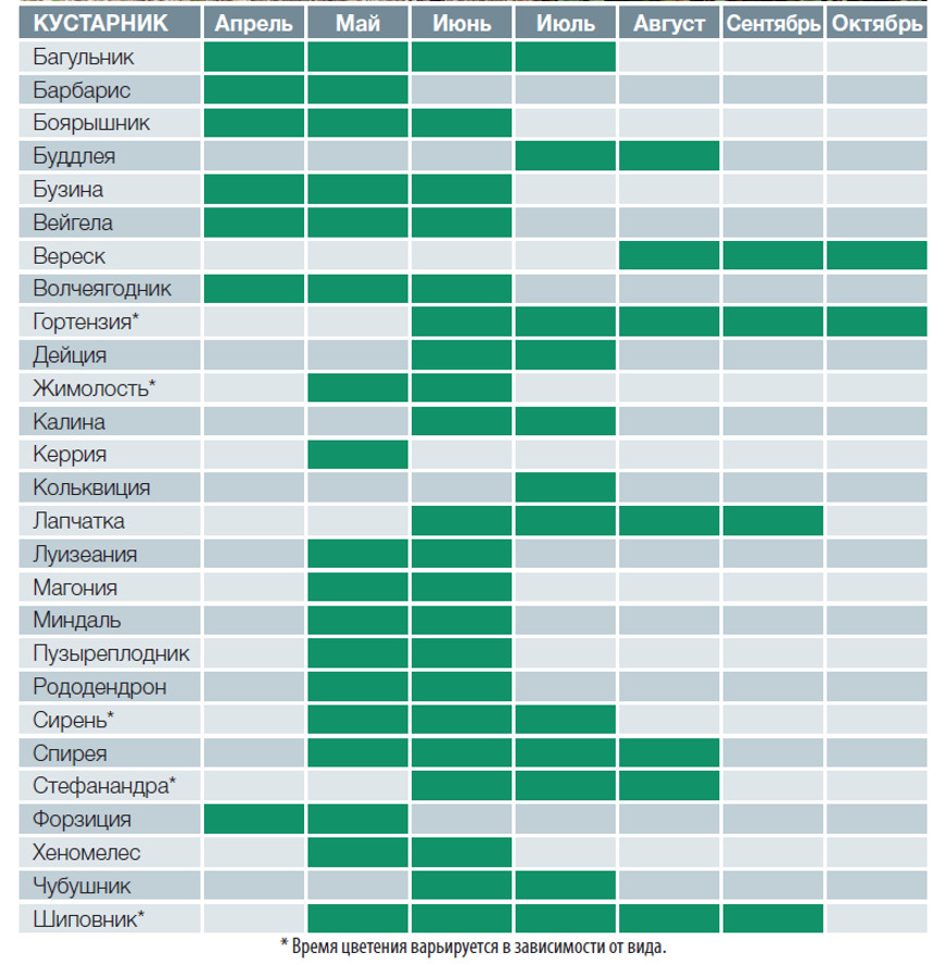 Декоративные кустарники: календарь цветения самых популярных кустарников для вашего сада цветения, наступлением, листьев, будут, эстафету, примут лапчатка, кустарниковая верески и, поздние, гортензии, которые, окончательно, отцветут, только, заморозков С, конец, сентября, сроки, благоухать шиповники, Затем, кроны пузыреплодников