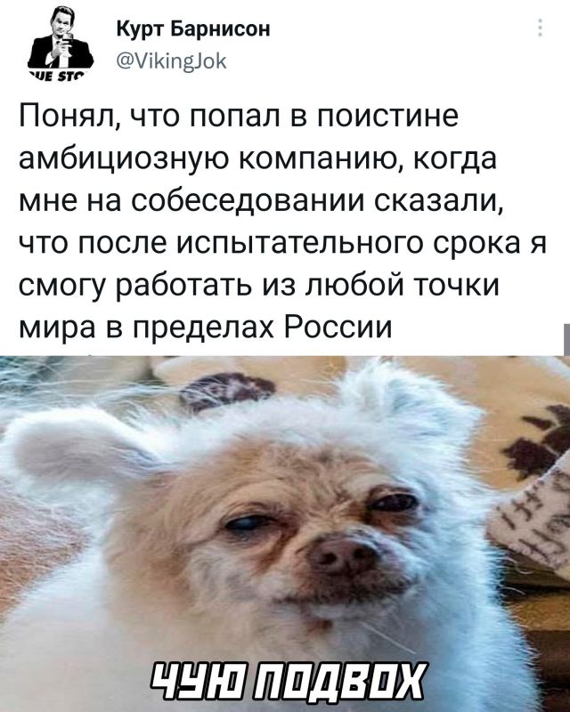 Подборка картинок. Вечерний выпуск Подборка картинок. Вечерний выпуск приколы,смешные картинки,юмор