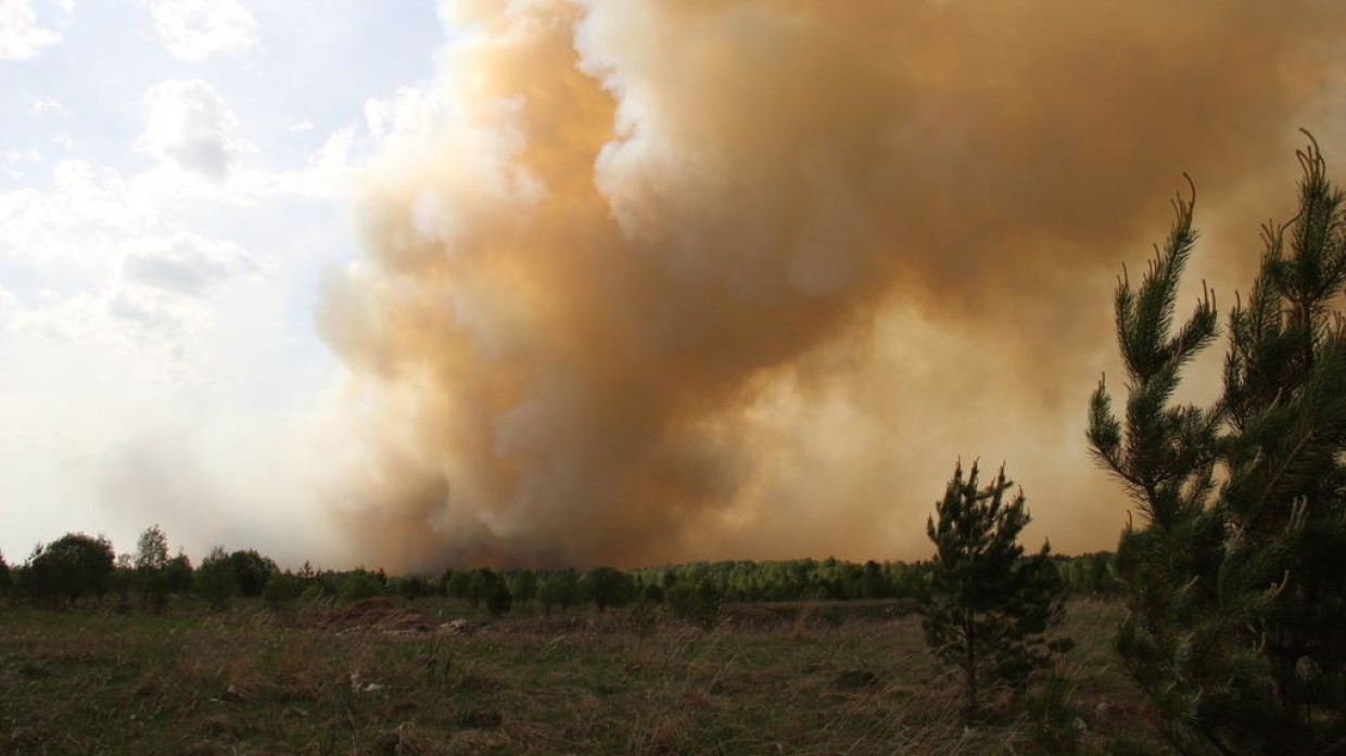 Пожарные ликвидировали за день 51 лесное возгорание в России