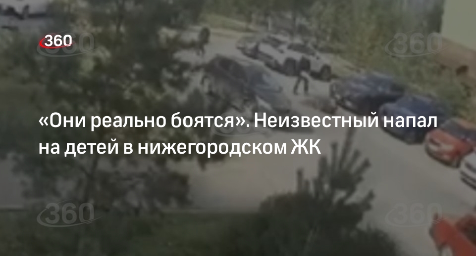 Нападение мужчины с битой на детей в нижегородском ЖК попало на видео