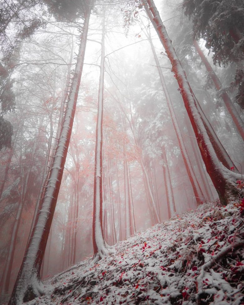 Швейцария, которая поражает с первого взгляда Швейцария, которая поражает с первого взгляда путешествие,Фотография,Швейцария