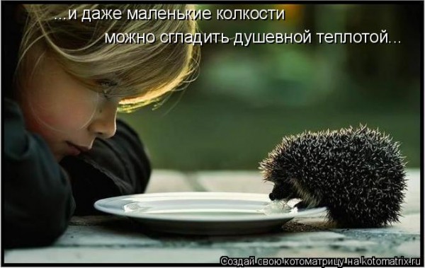 Мысли вслух :)