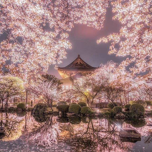 Классные фотографии и забавные картинки из сети красивые фотографии,прикольные картинки,шикарные фотографии