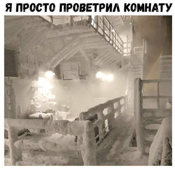 Солянка юмора из сети