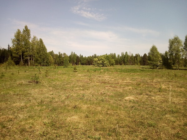 Почему России не нужна история? 