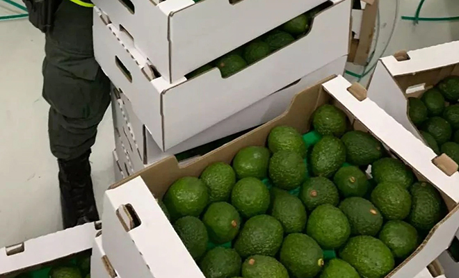 Тайник скрыт в каждом авокадо: как злоумышленники прячут товар для отправки за границу