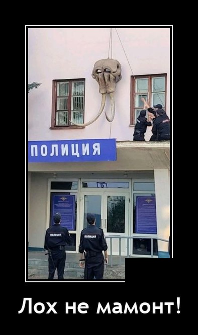 Самые новые демотиваторы  демотиваторы