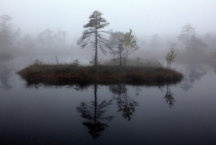 Кемерский национальный парк в Латвии (10 фото)