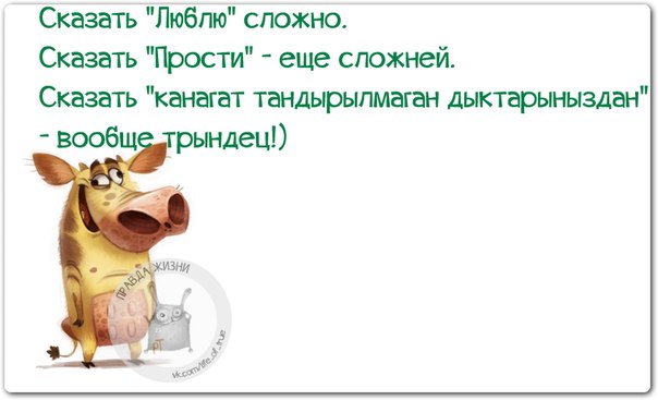 Прикольные картинки с позитивными фразками Прикольные картинки с позитивными фразками