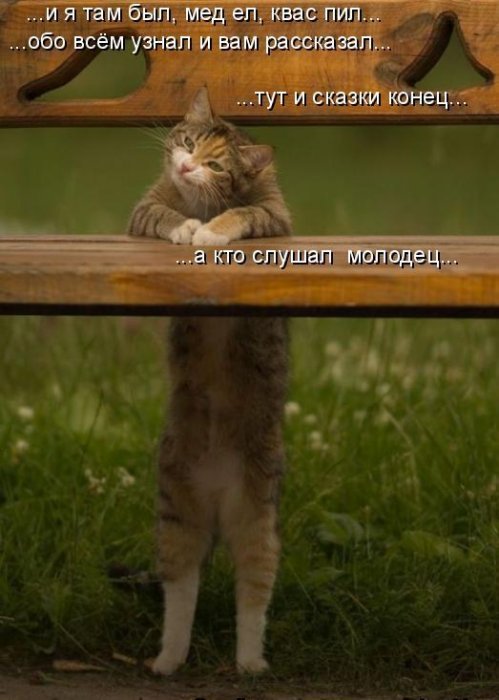 Мысли вслух :)