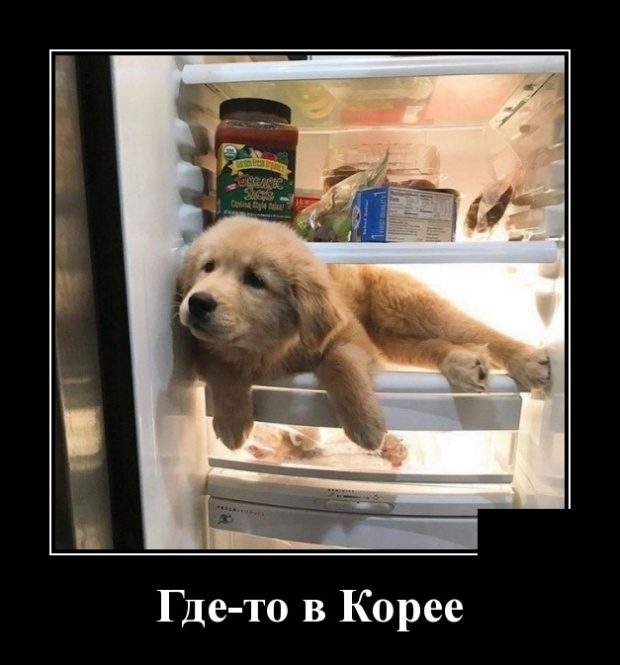 Прикольные демотиваторы в ассортименте