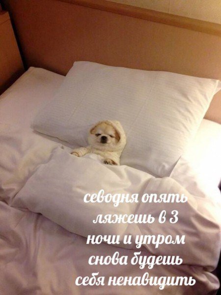 Фотоподборка пятницы  