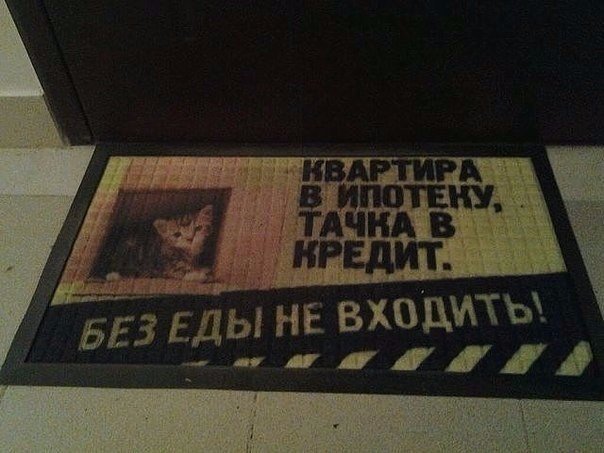 Веселые картинки и смешные фото приколы с надписями Веселые картинки и смешные фото приколы с надписями